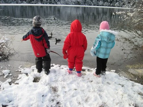 Wild Things - January at Lake Padden Park  