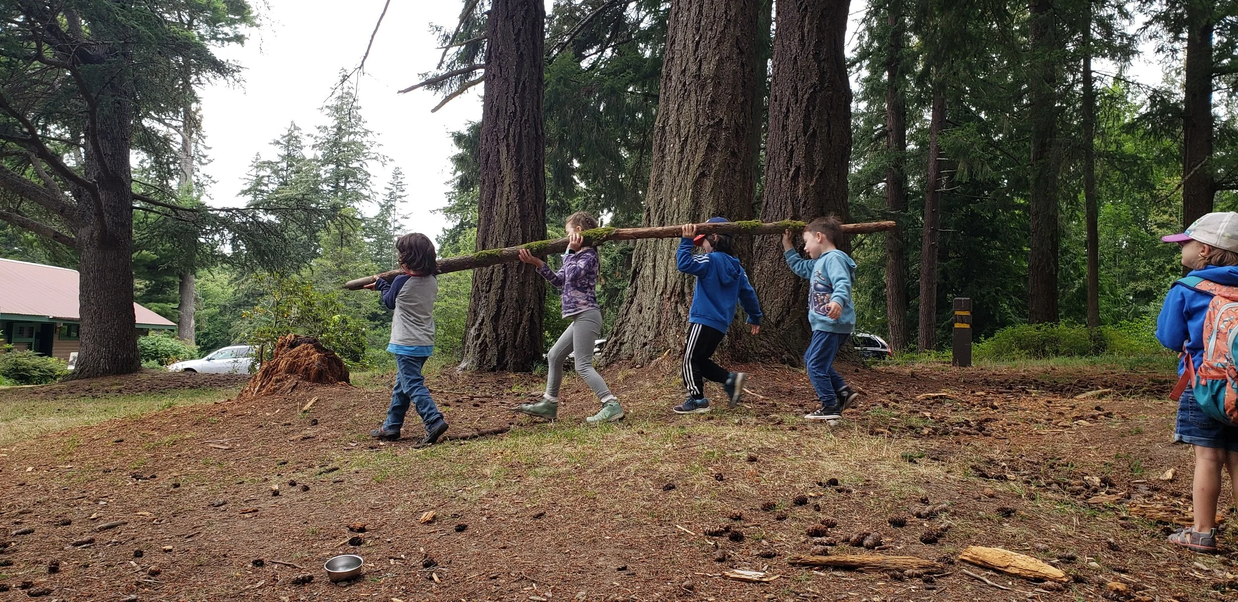 NPS_2025_Kids_Branch_20240812_111644.jpg