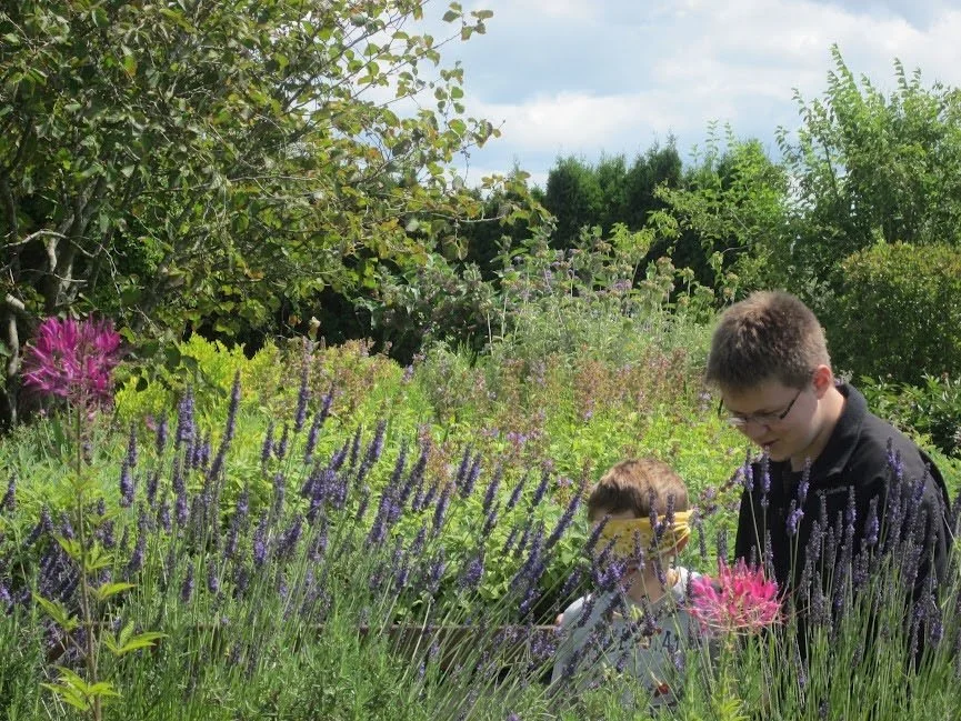 Community Field Trip - Insect and Flower Safari — Wild Whatcom