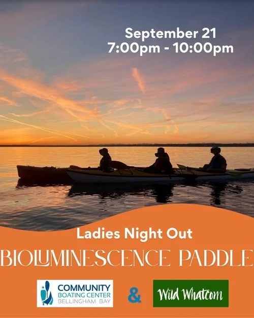 Partner Program - Bioluminescence Paddle with Community Boating Center