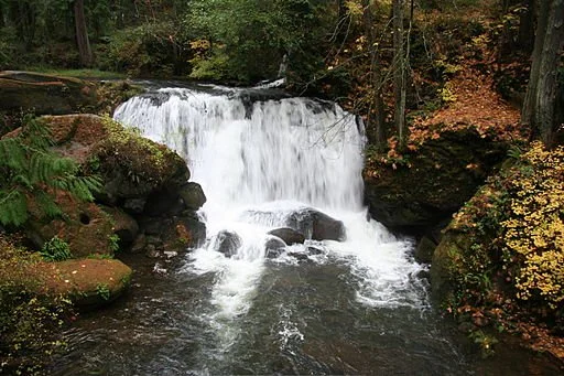 BIPOC Walks - Welcoming Fall at the Falls
