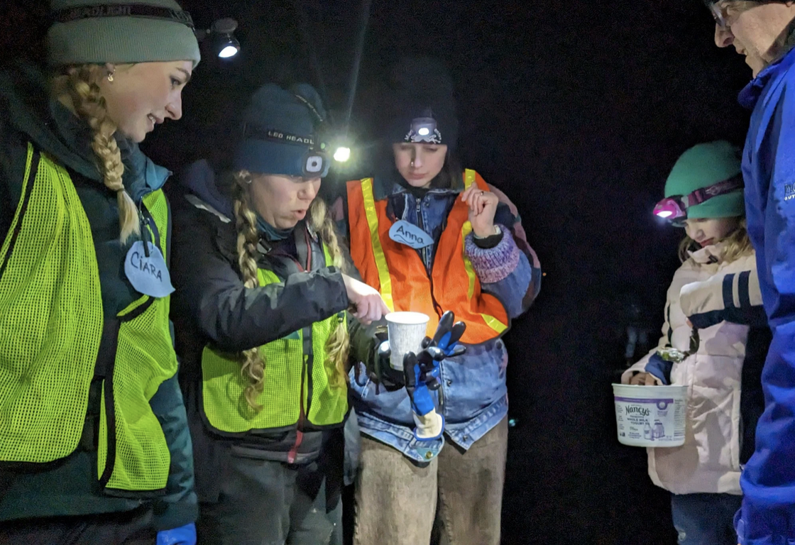 Community Field Trip: Low Night Tide Exploration