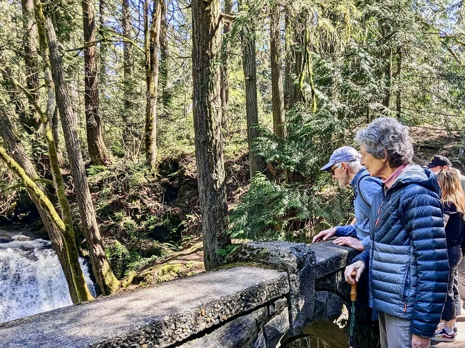 Wonder Walks - September at Whatcom Falls Park