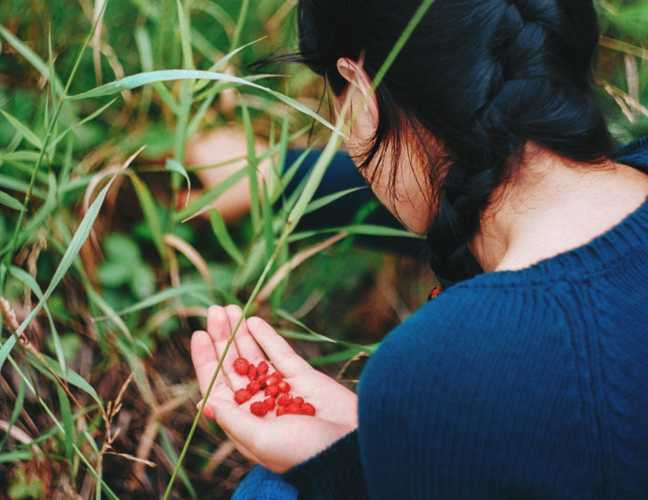 BIPOC Walks - Honorable Harvest: Intro to Gathering Edible Plants