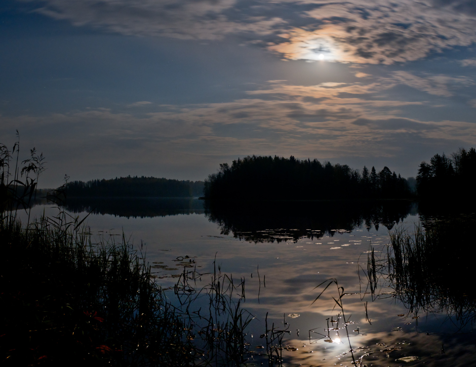Ladies Night Out - Moon of Budding Trees