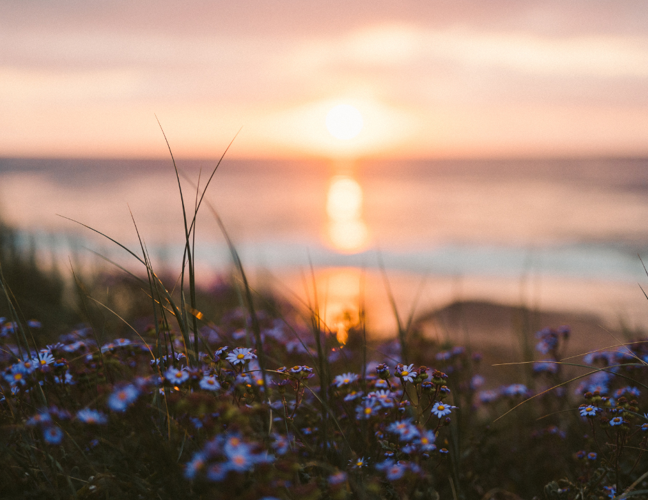 Ladies Night Out - Moon of Flowers