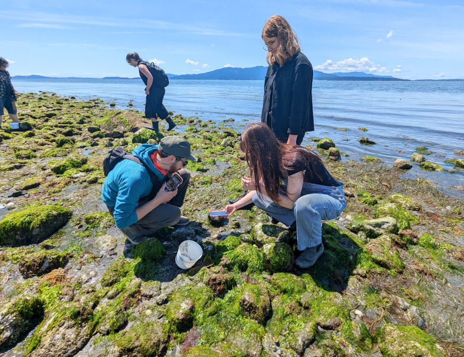 Out and About - Pride at Low Tide
