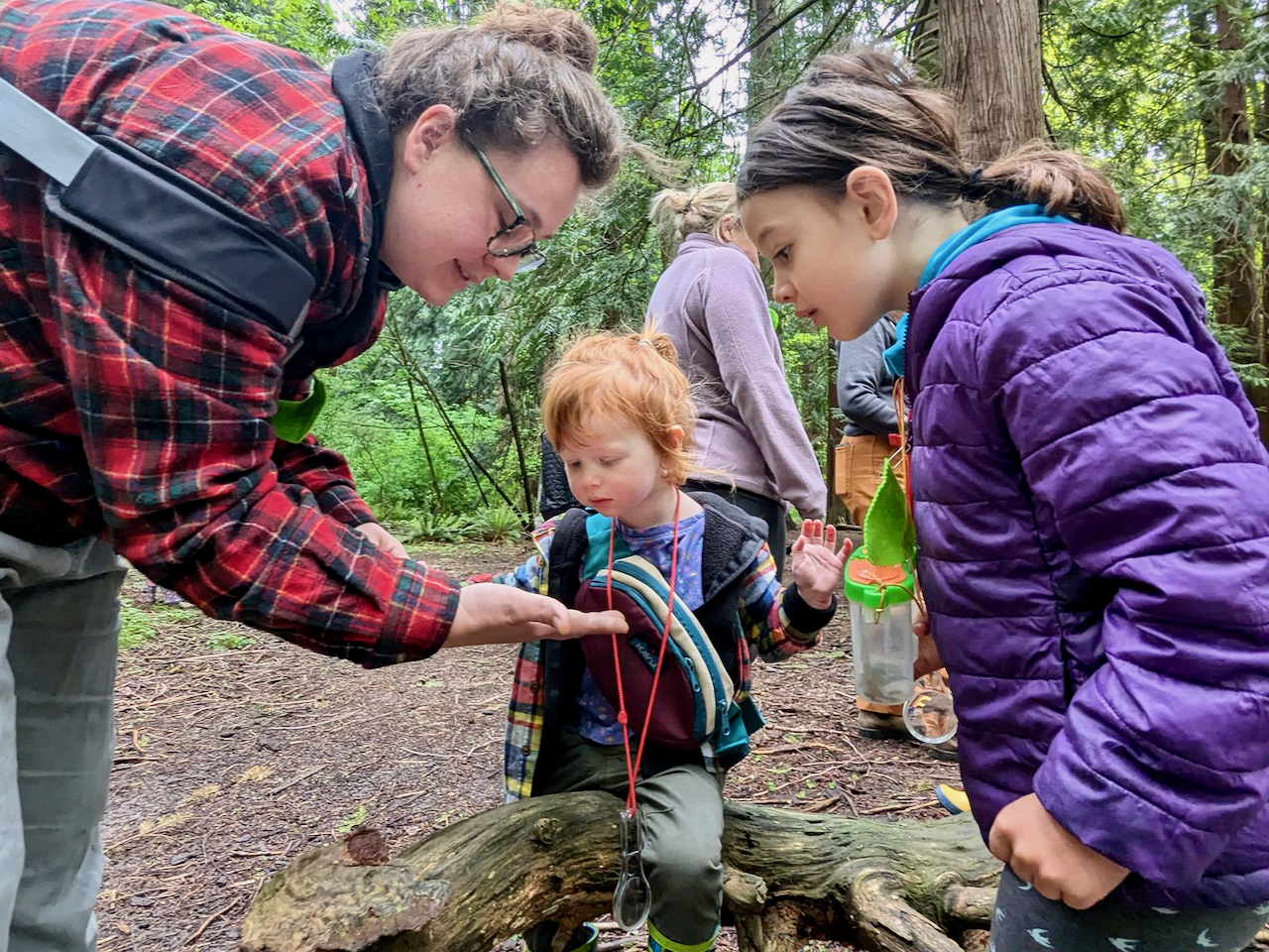 Wild Things - May at Cornwall Park