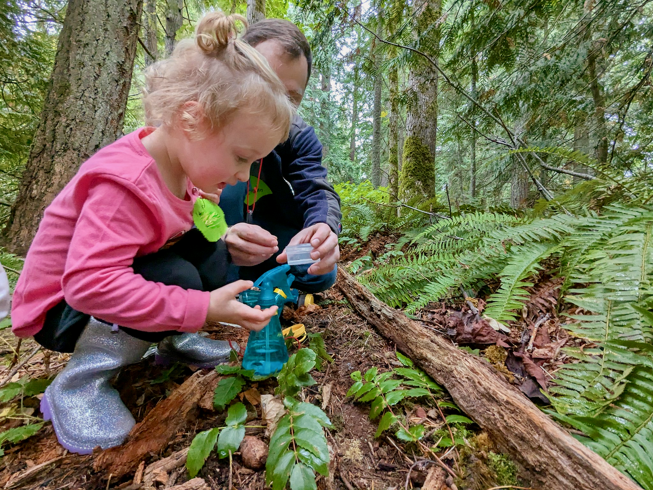 Wild Things - August at Lake Padden Park