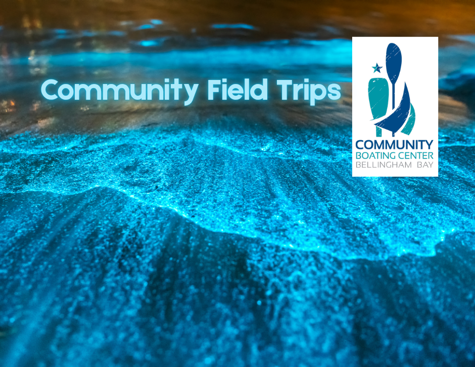Community Field Trips (Adults 18+ only) - Bioluminescent Paddle