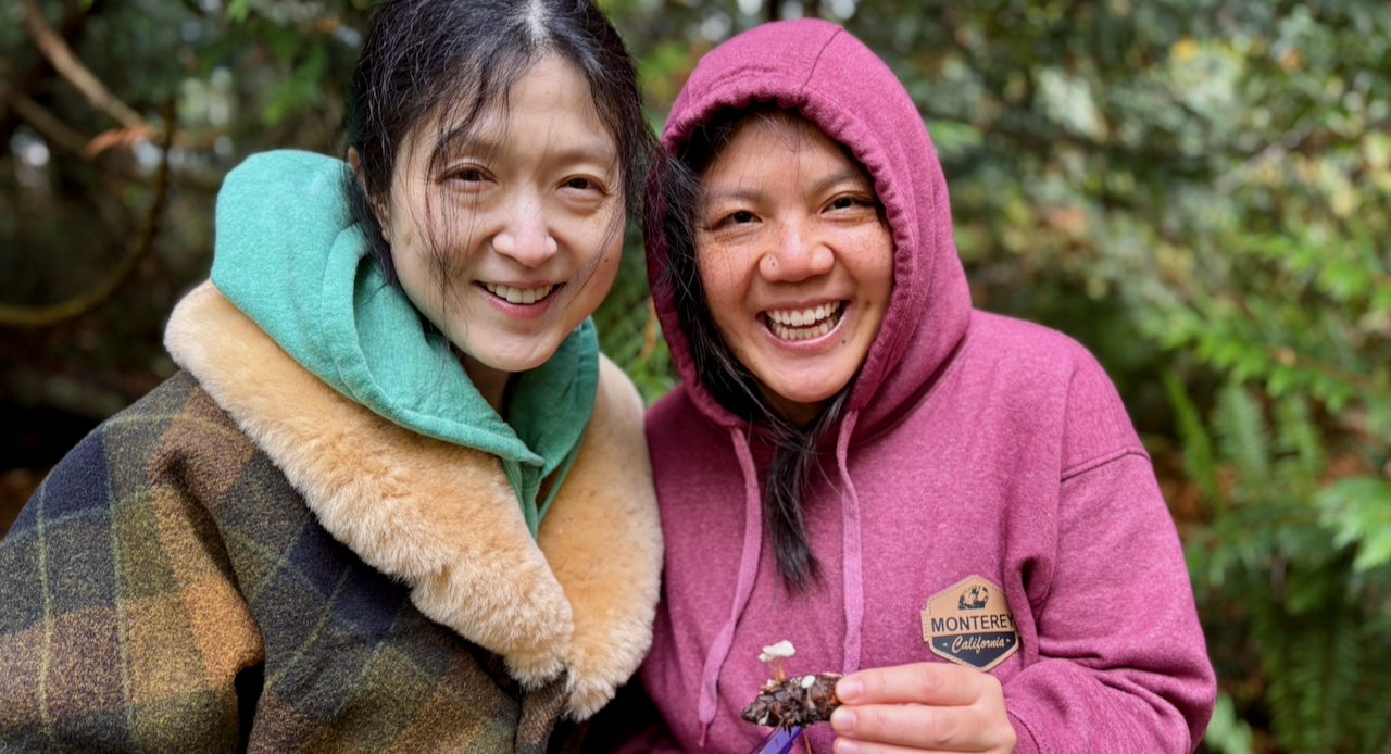 BIPOC Walks - Mushroom Mania