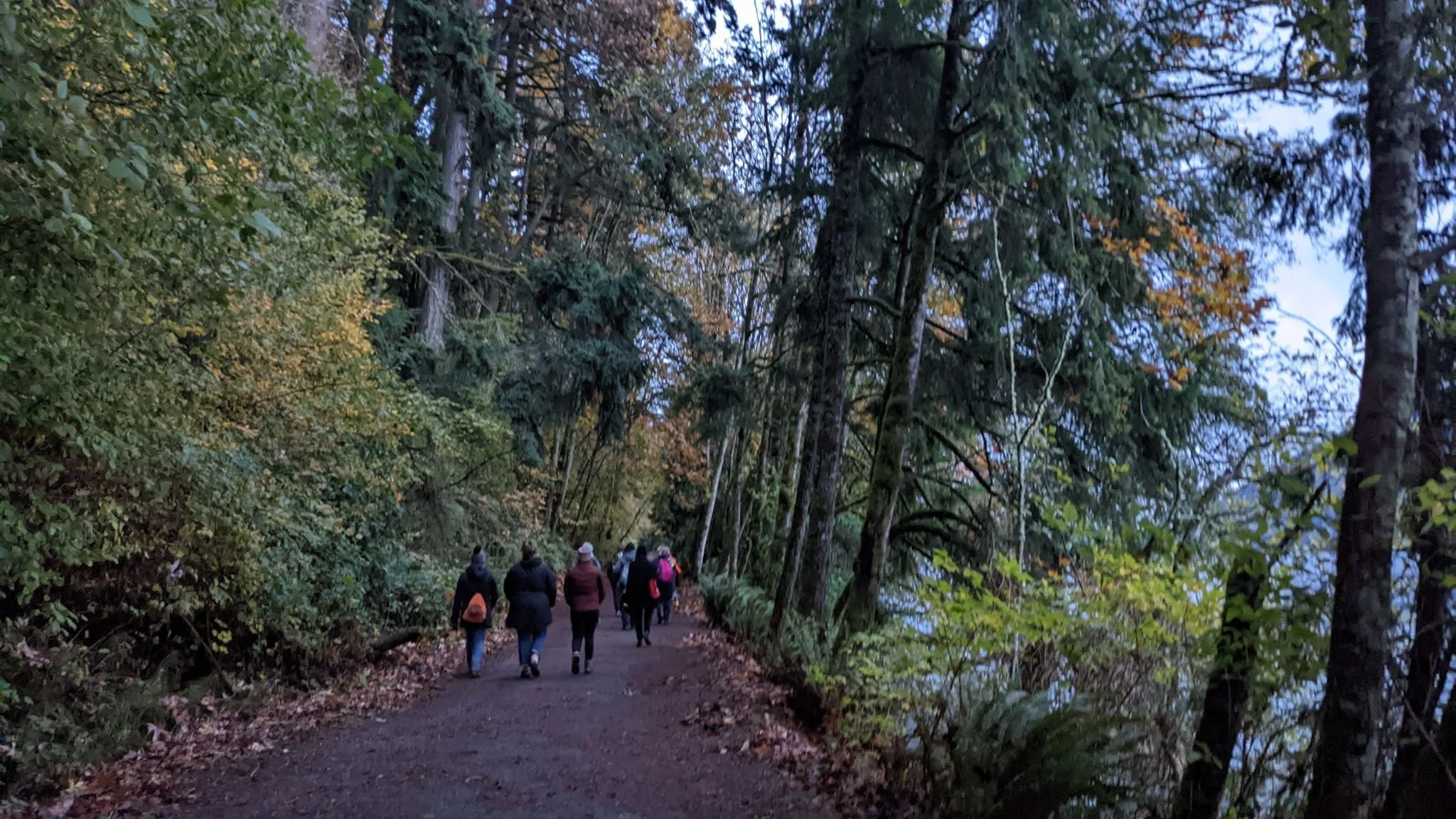 Community Field Trips — Wild Whatcom