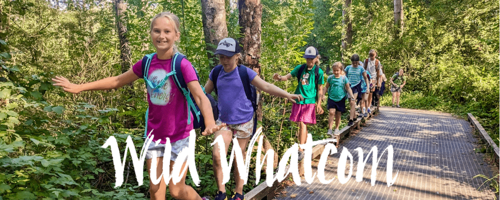 Blog — Wild Whatcom