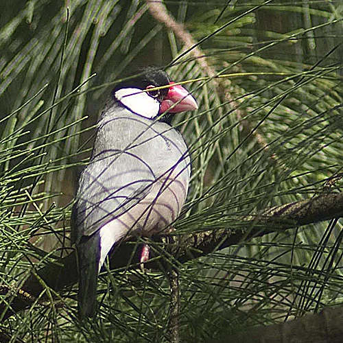 DSCF2830.jpg