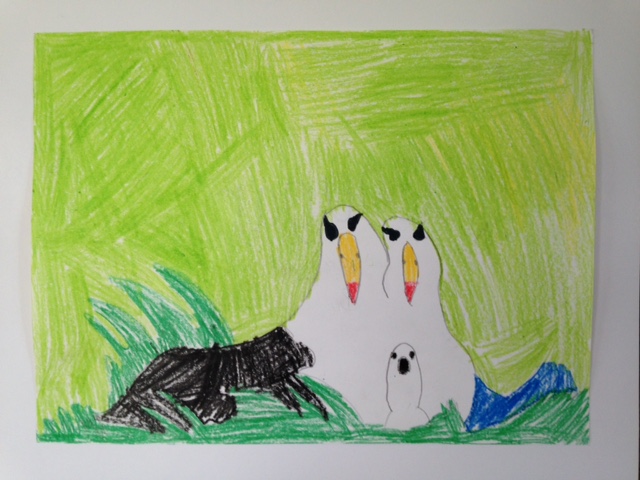 Second Place: Cougar Carlson, 2nd Grade, Kilauea Elementary