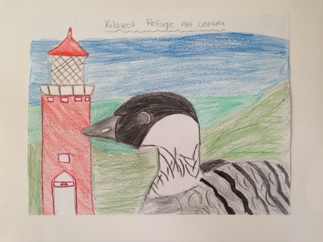 First Place: Seijia Makanani, 6th Grade, Kapaa Middle School