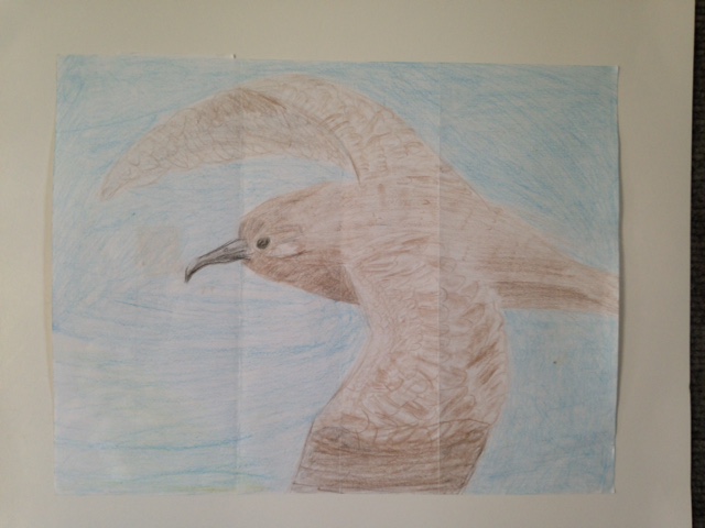 Second Place: Jaymie Kaluna-Kamai, 6th Grade, Waimea Canyon Middle School