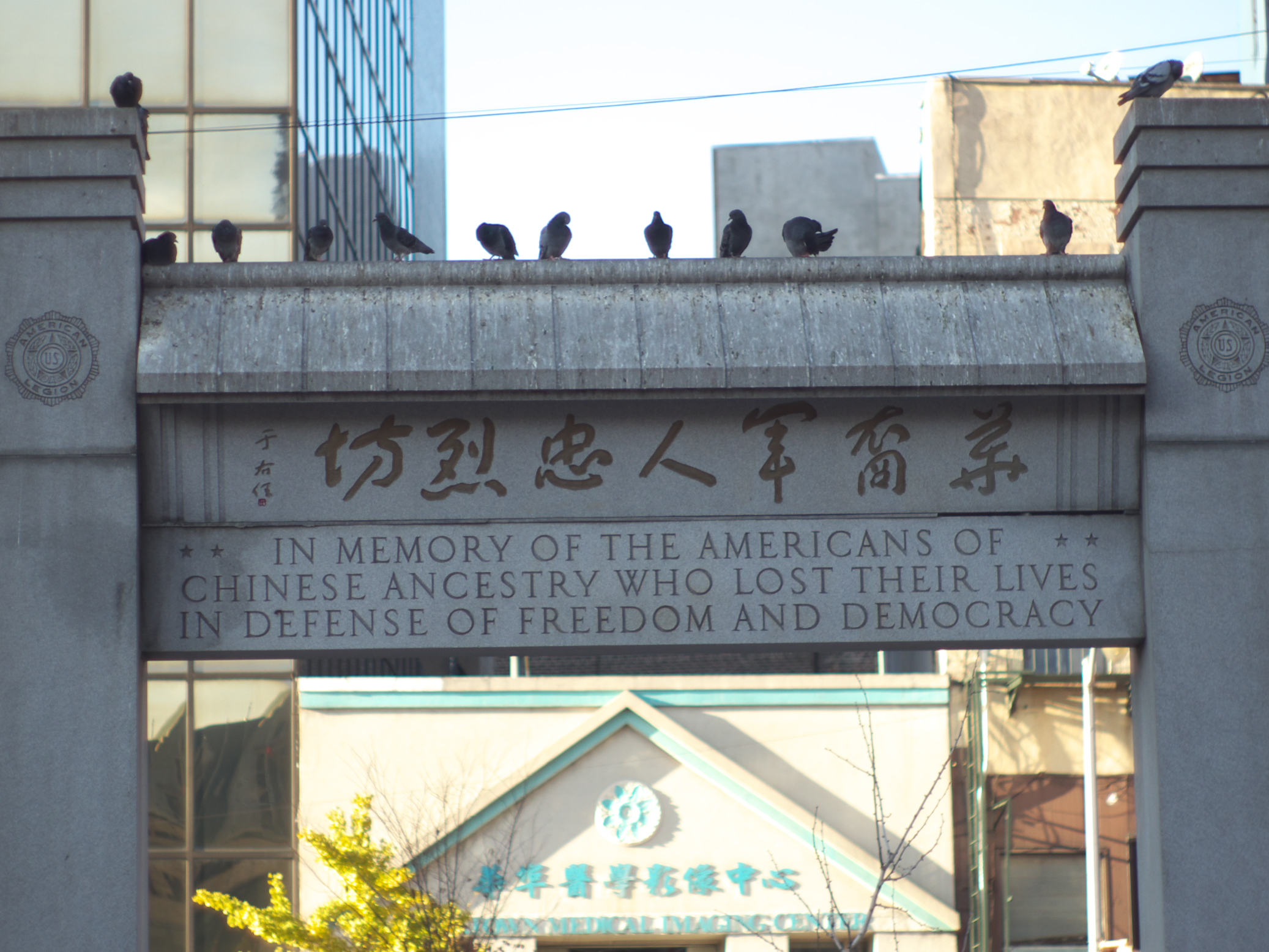 P1060421.jpg