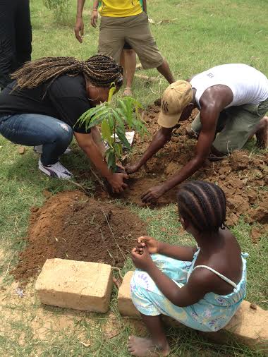 Planting-tree.jpg