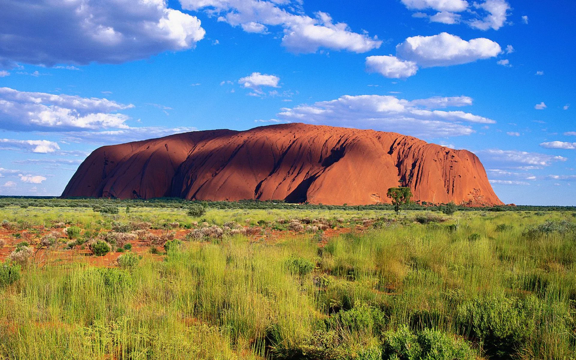 uluru-kata-tjuta-national-park-australia-1200x1920.jpg