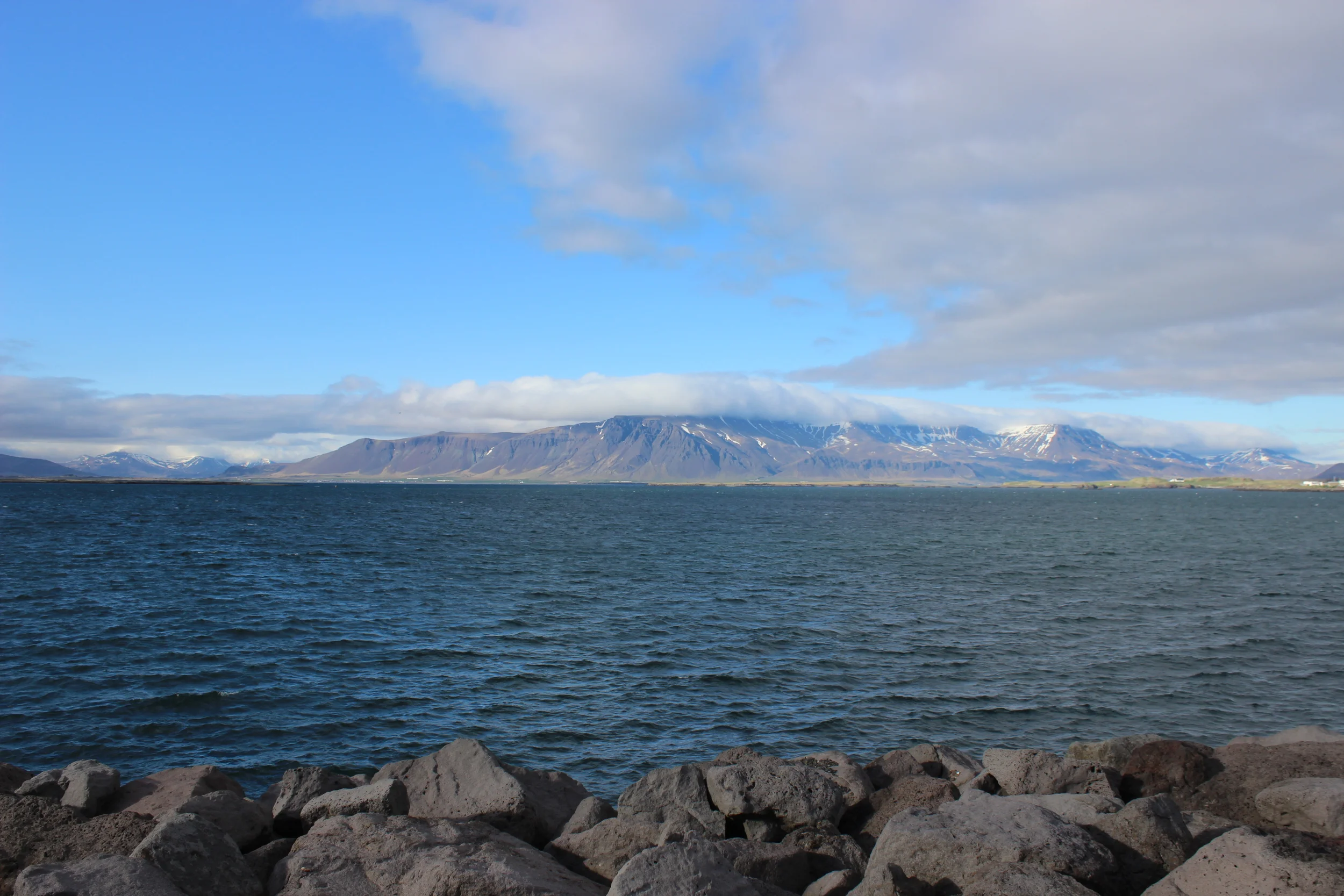 The Reykjavik Bar Crawl with Wake Up Reykjavik