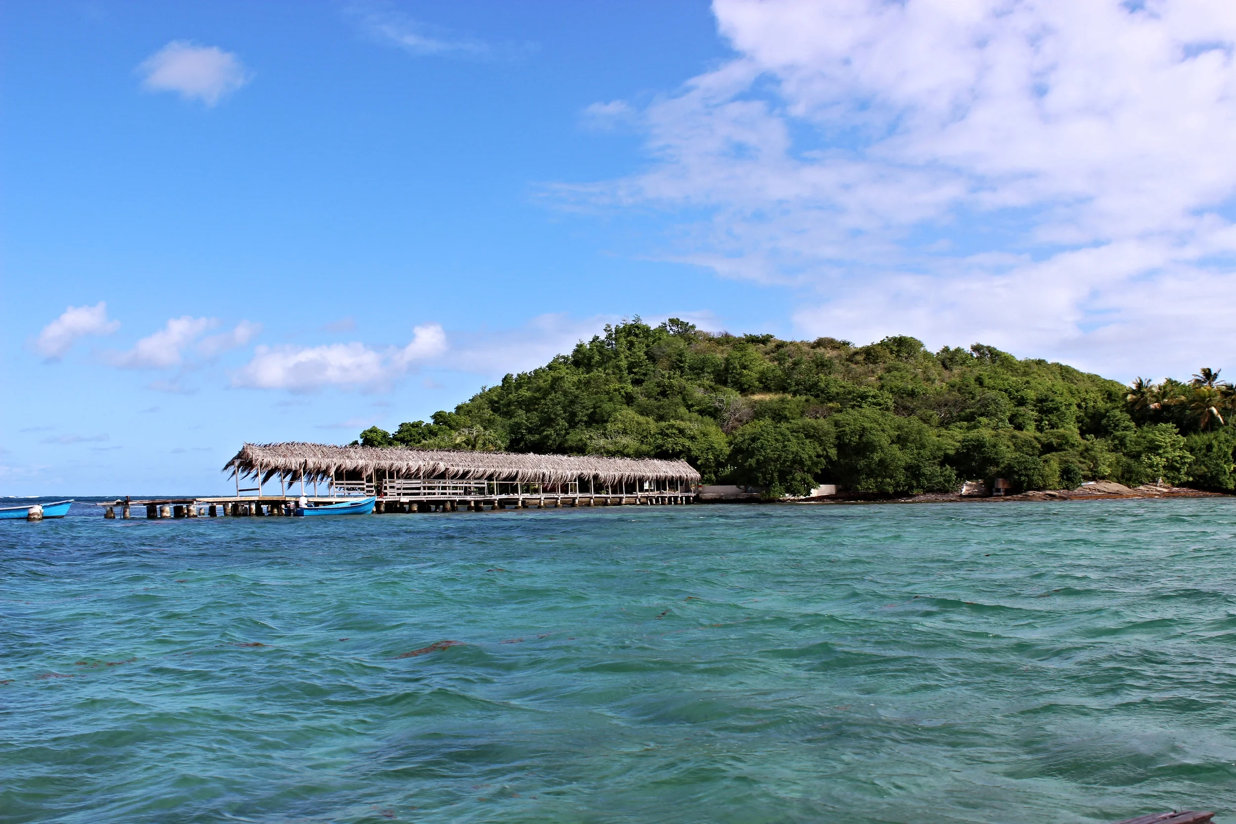 The Top 15 Things to Do in Martinique