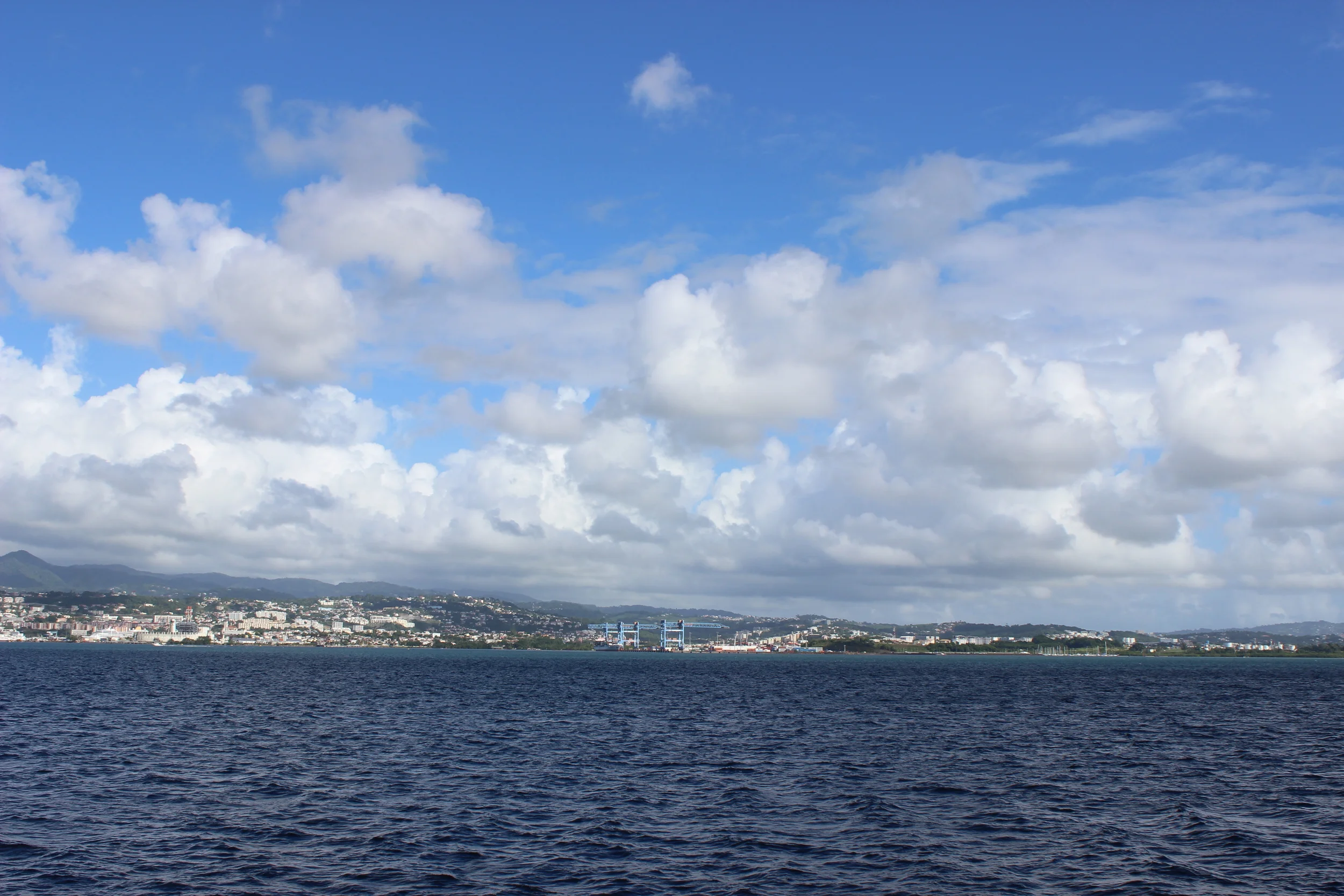 What to Drink in Martinique