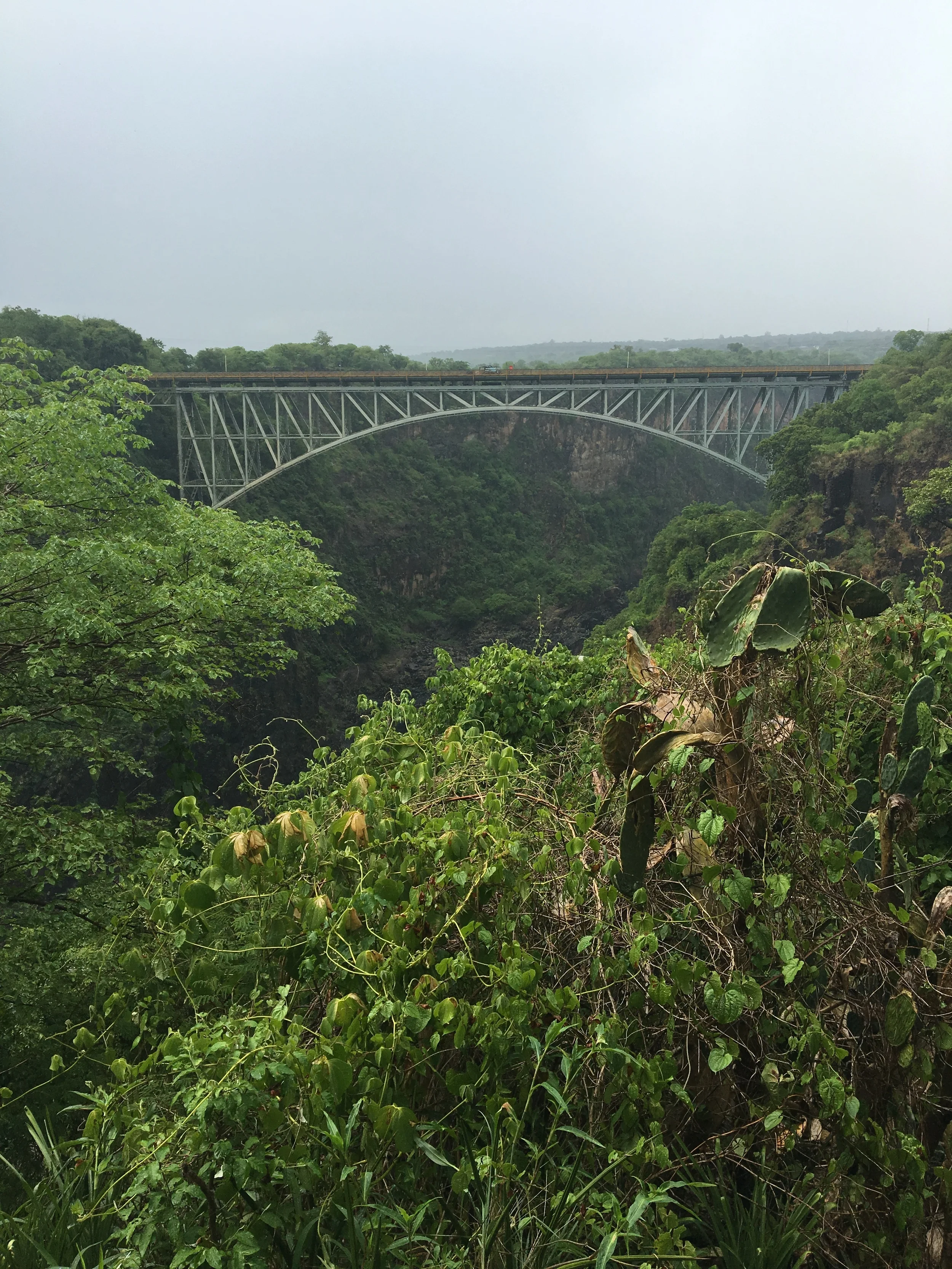 Episode 3: Zambia's Victoria Falls, Devil's Pool, and Livingstone