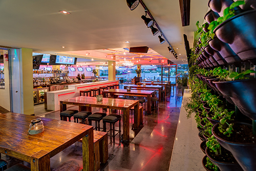 Greenhouse Bistro and Tea Lounge