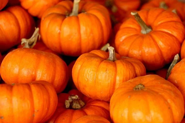 Cocktail of the Month: Halloween Edition - Pumpkin Spice Cocktail