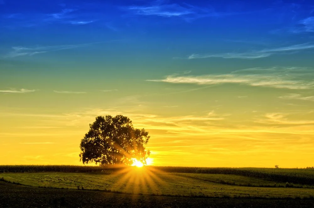 calm-visualization-sunset.jpg