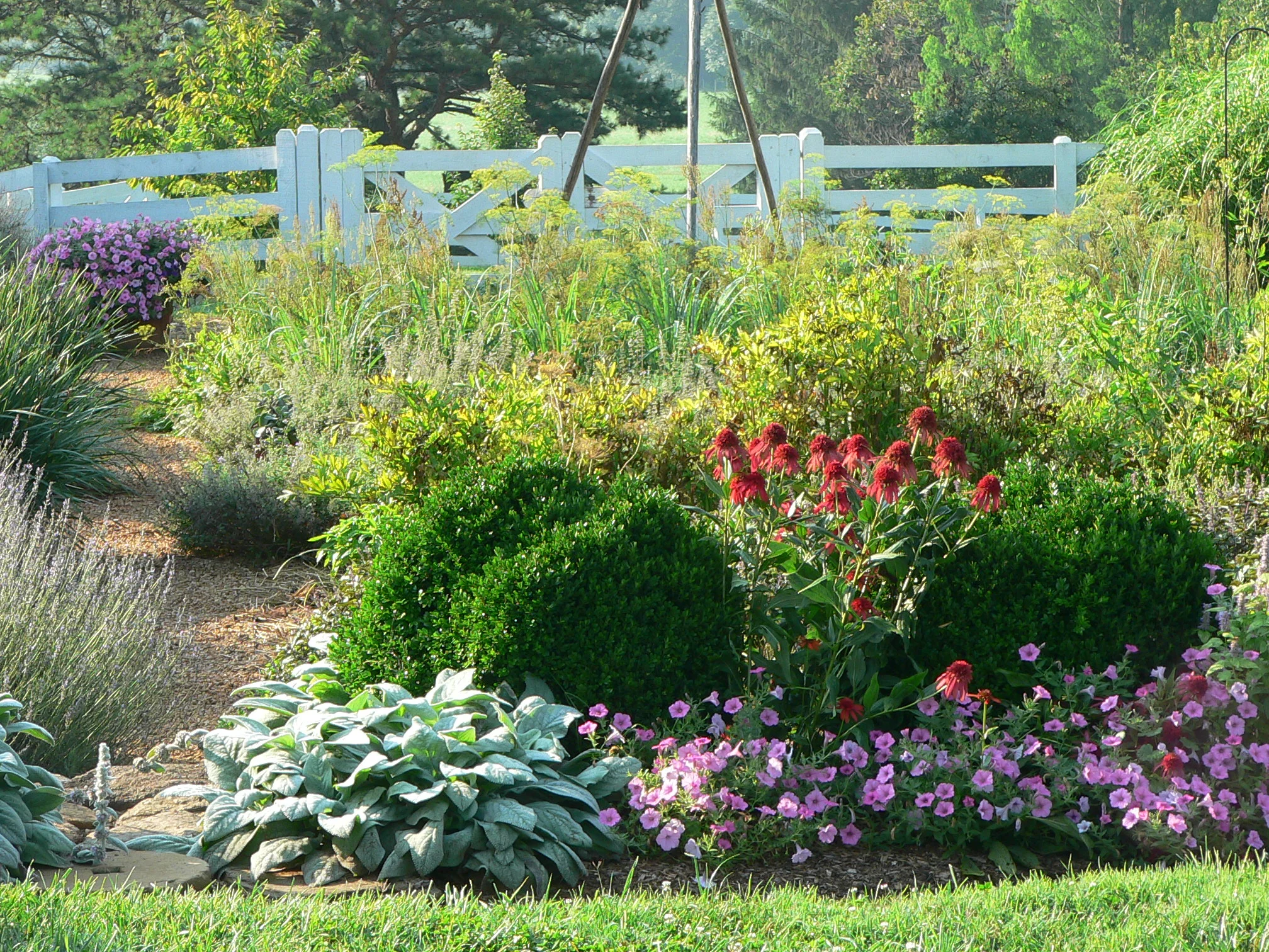 Summer garden, Pharsalia