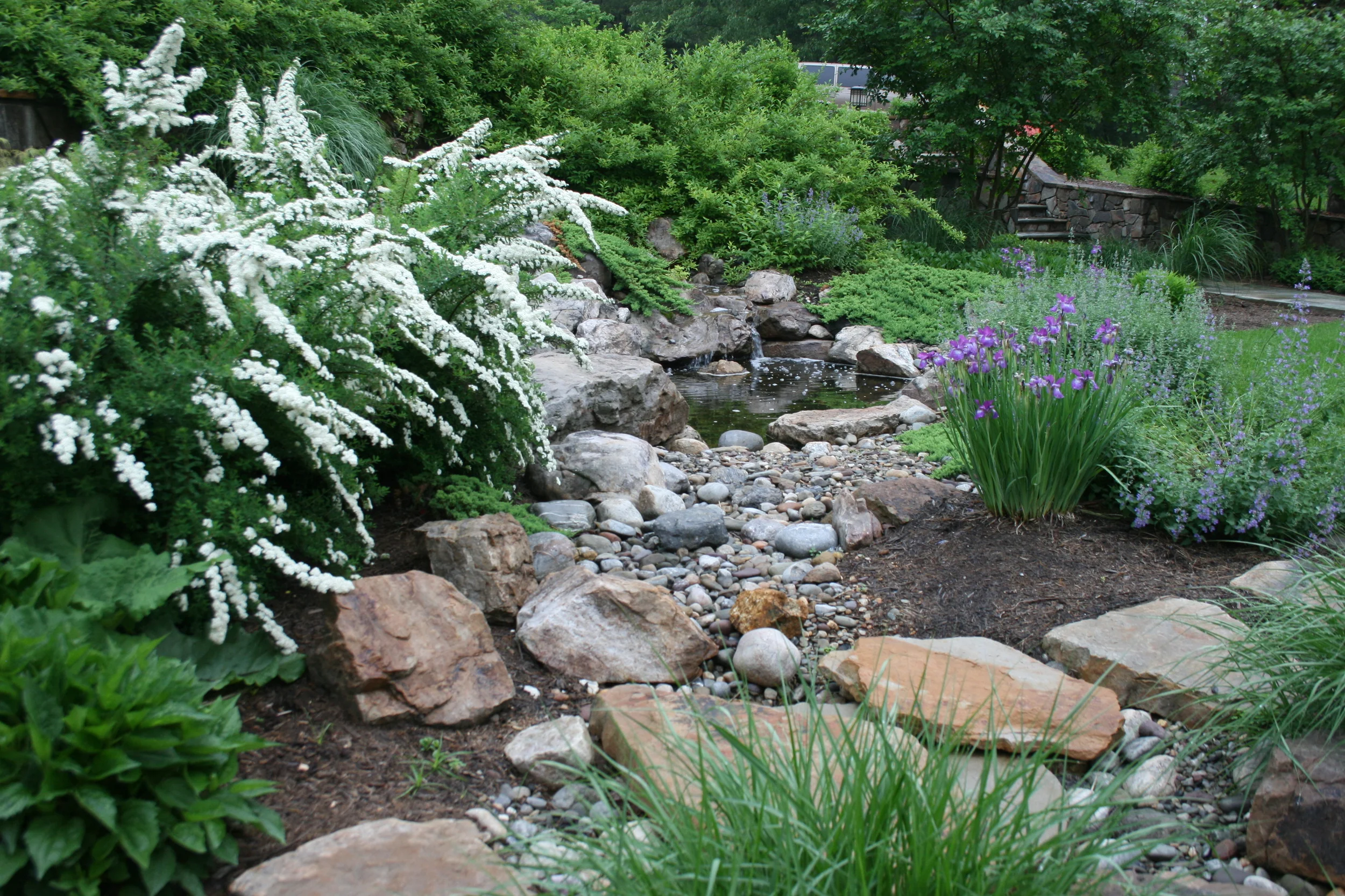 Pool and plantings