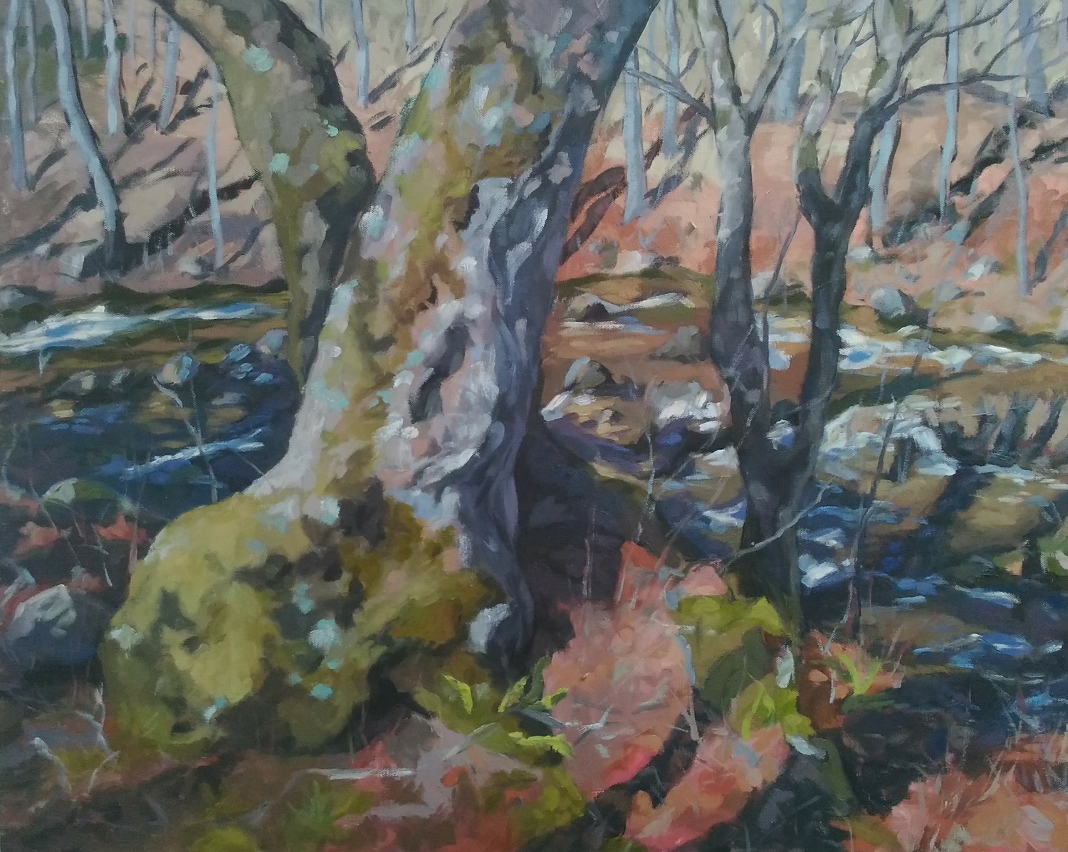 Sycamore on Piney