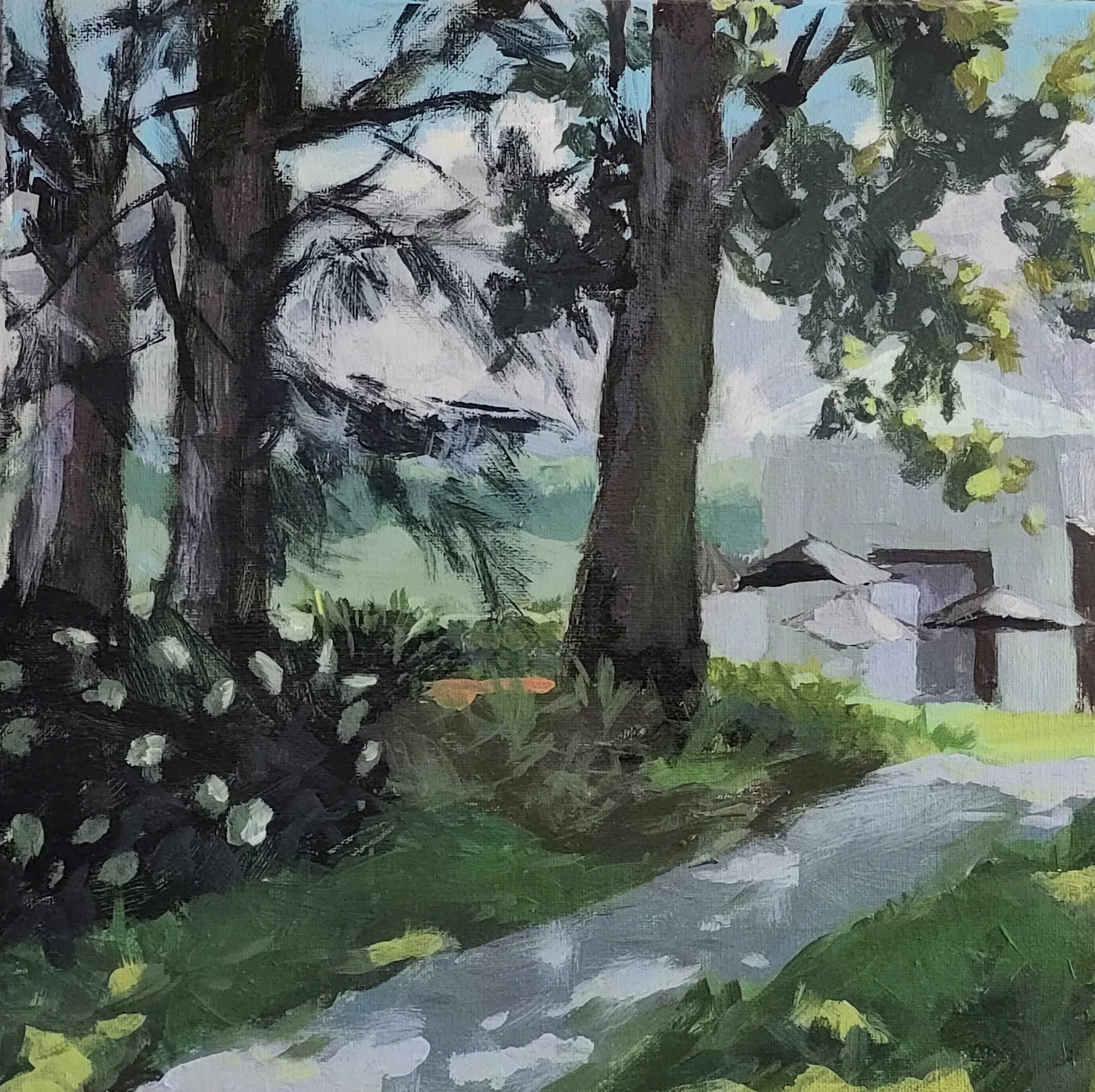 Viemeister, Marked Tree Vineyard Canopy, Acrylic, 12 x12 in, 475.jpg