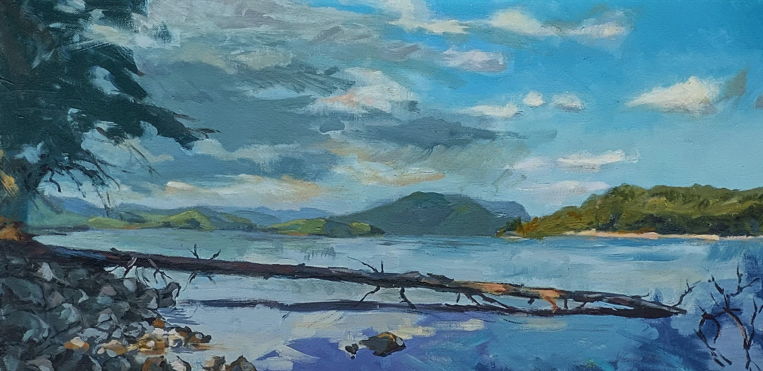 Viemeister Lake Jocassee oil 12x24 in.jpg