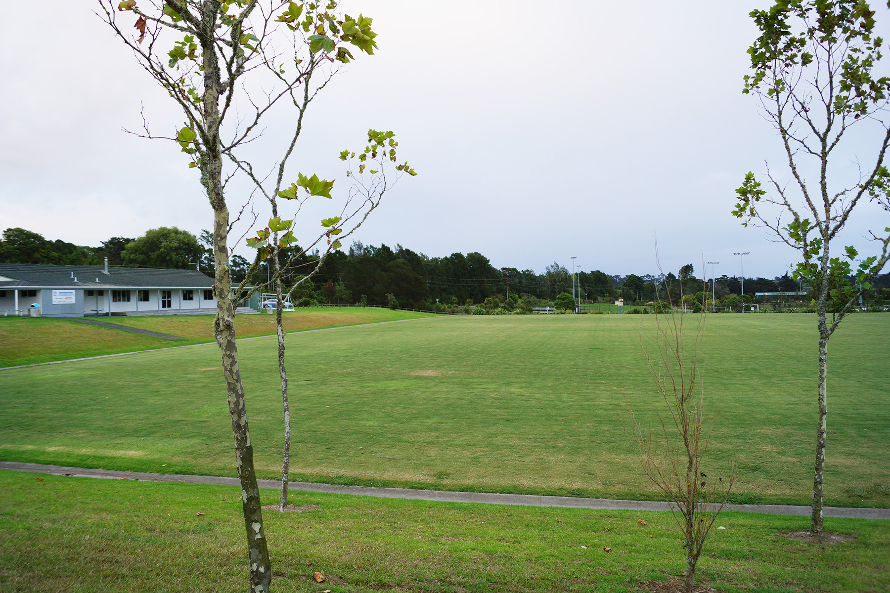 Venue-Huapai-Domain.jpg