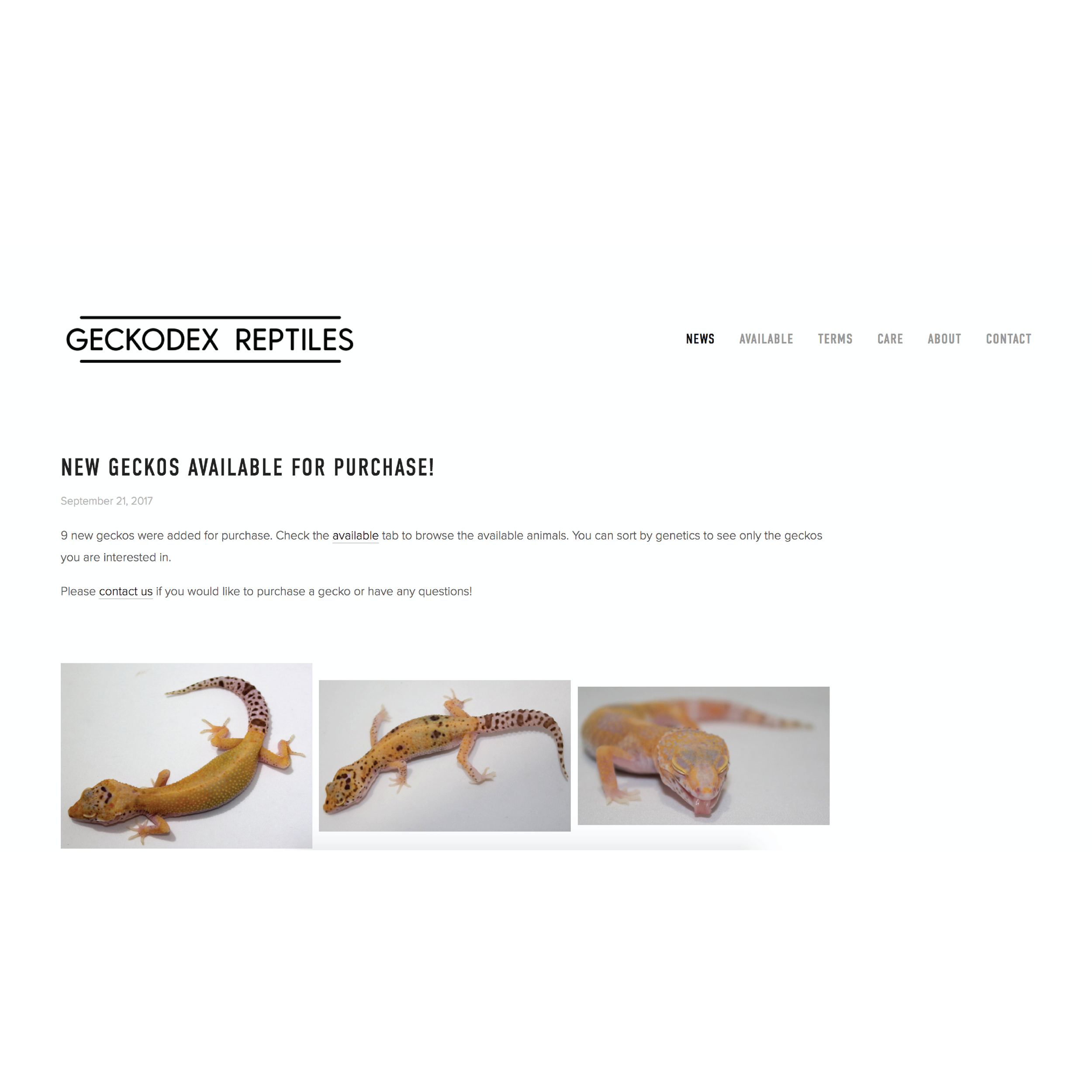 Geckodex - Now Available-01.png