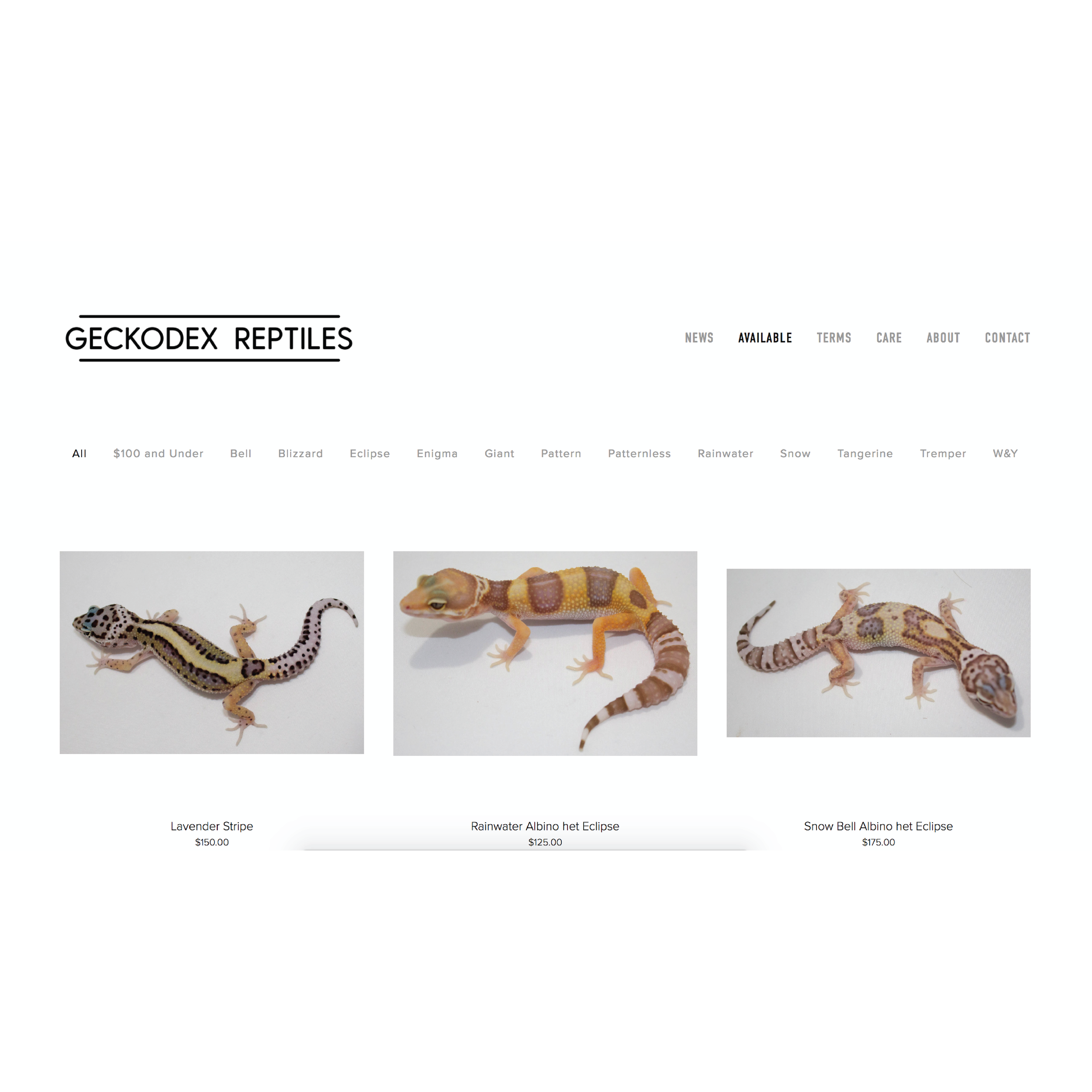 Geckodex - Now Available-02-01.png