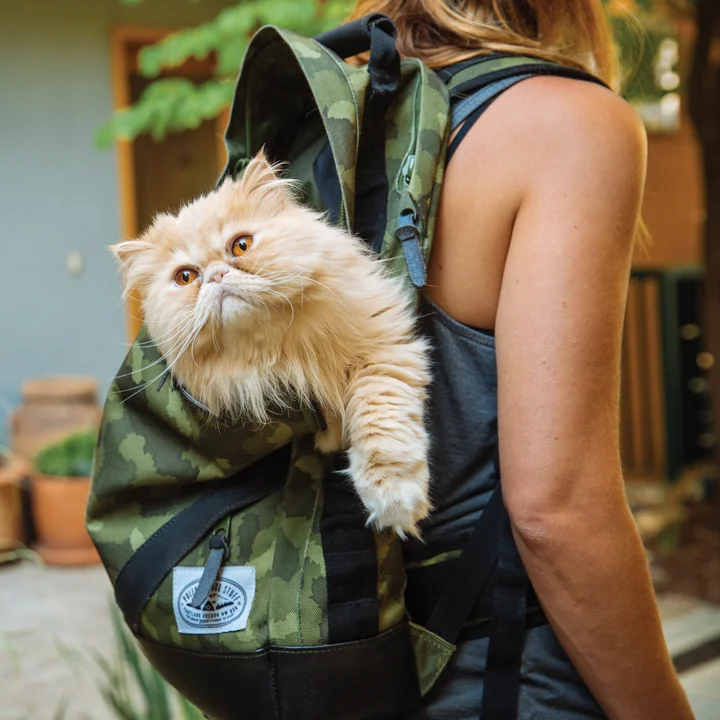 Snowboard Mag Feature