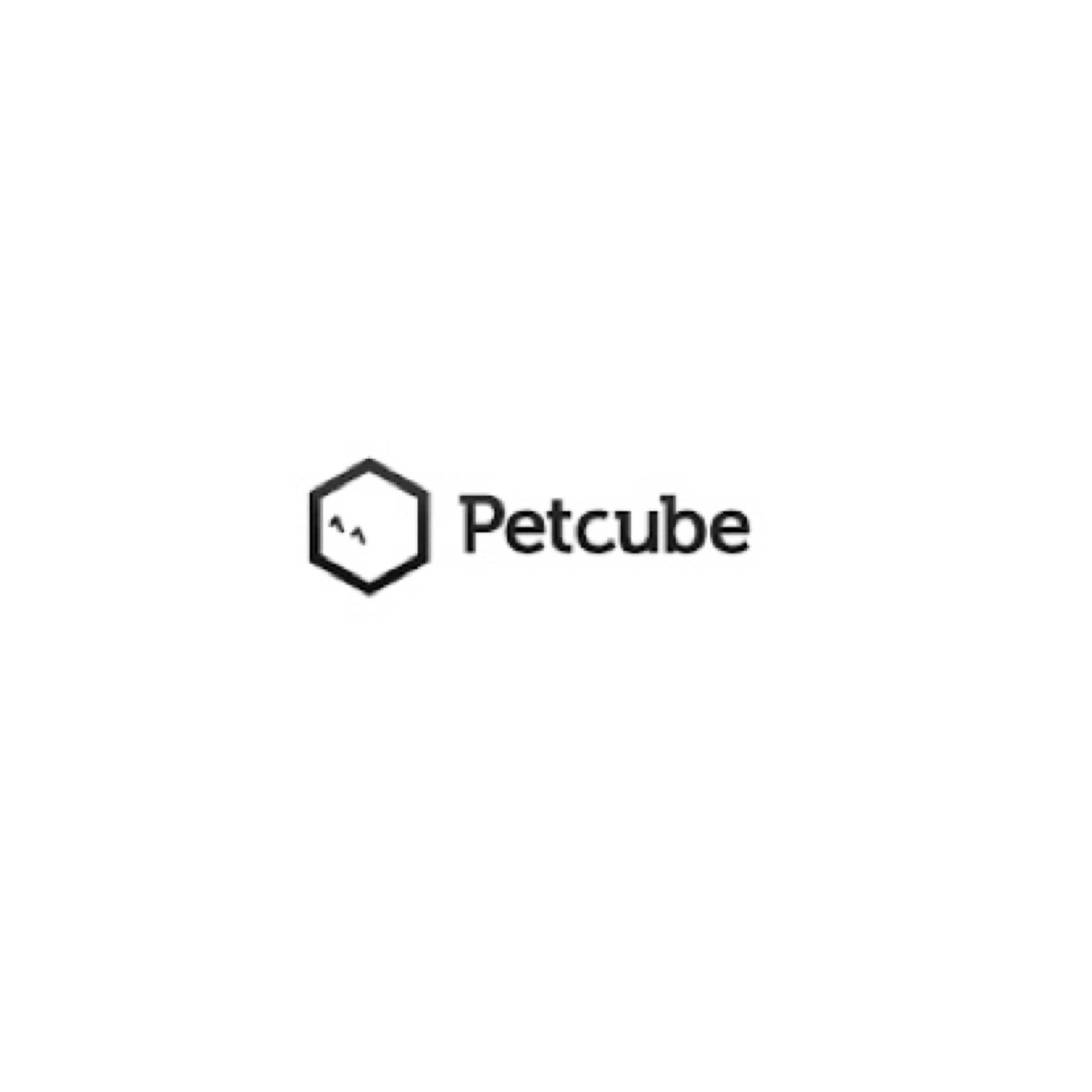 petcube.JPEG