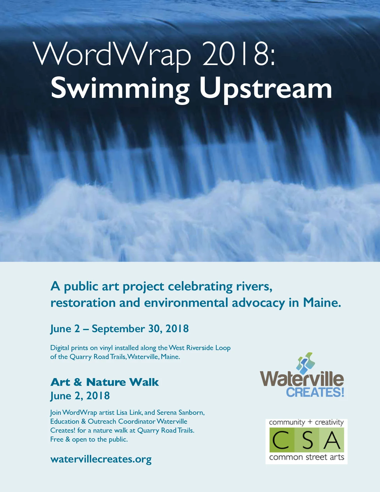 swimmingupstream-flyer-lisalink.jpg