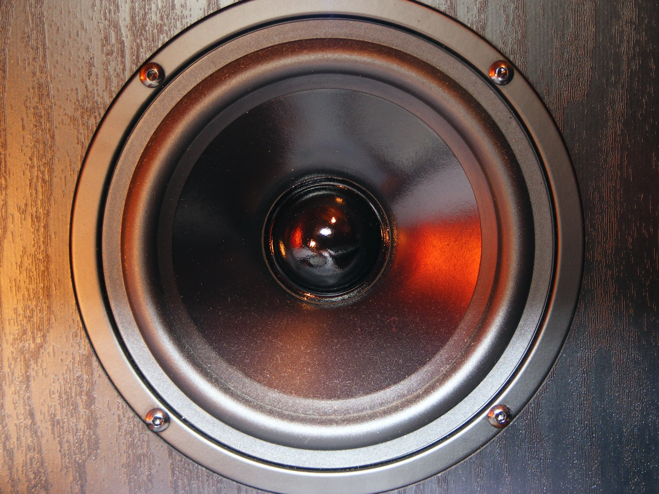 Speaker inside 01.jpg