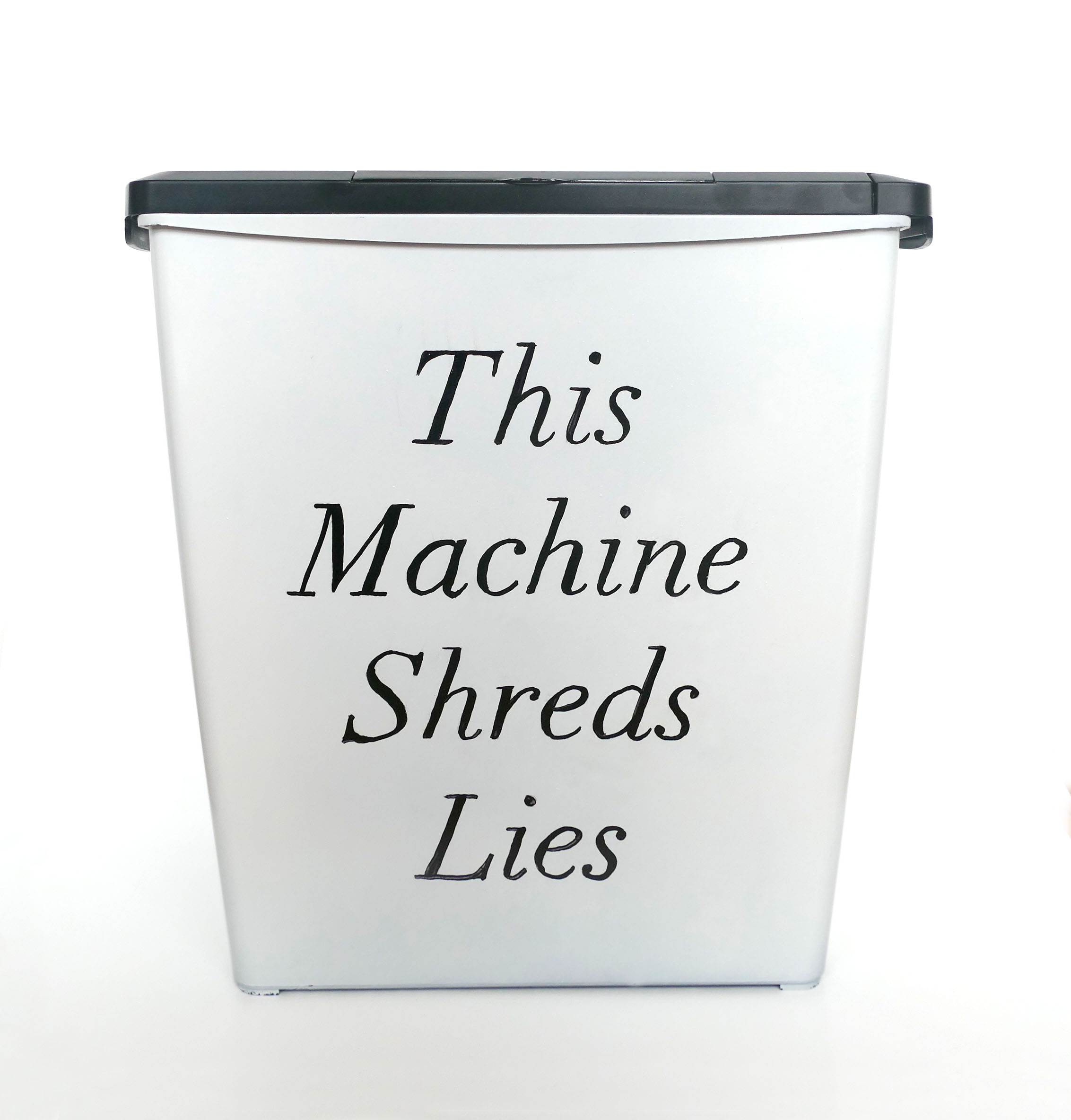 Michelle Hartney_This Machine Shreds Lies.jpg