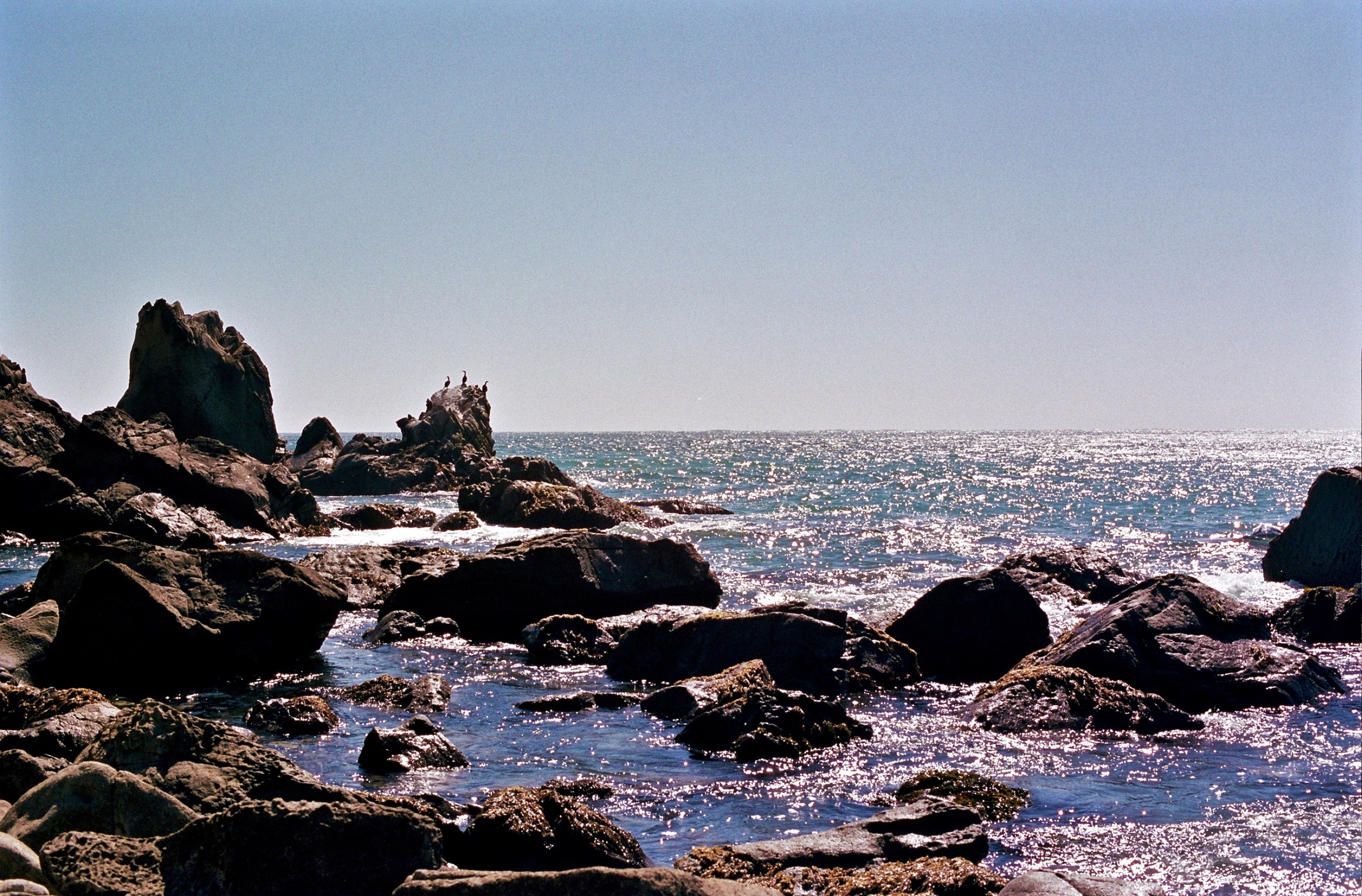 California Coast near Fort Ross, Nikon F2A, 50mm f/1.4 Nikkor-S