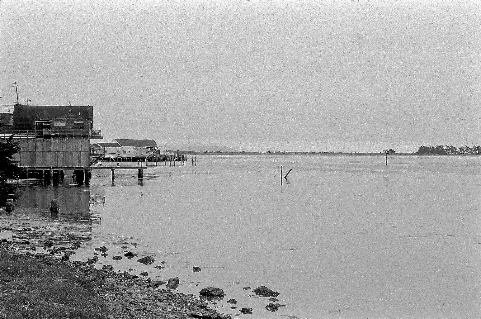 Bodega Bay, Nikon F2A, 85mm f/1.4 Nikkor