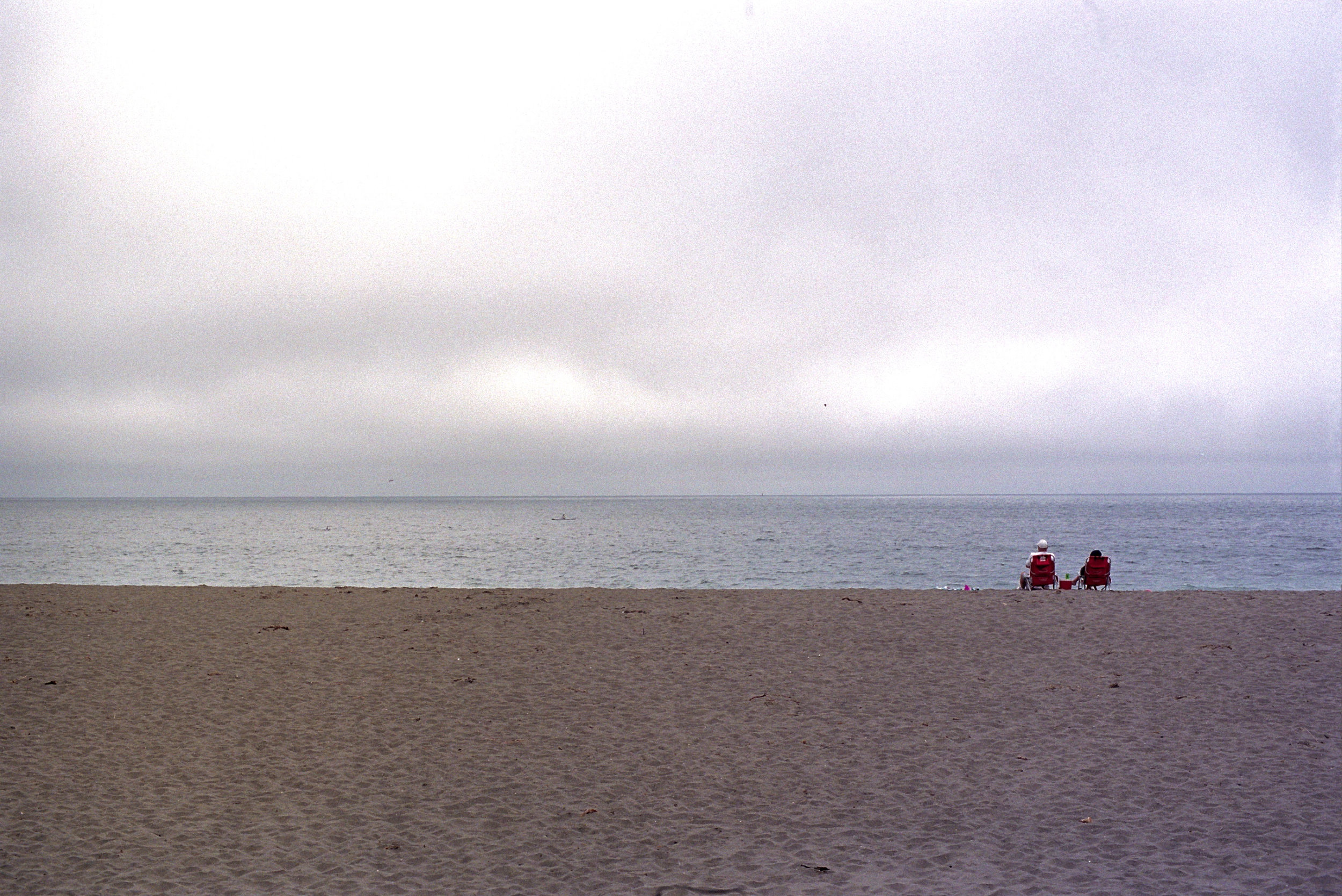 Sonoma Coast Olympus OM2n, 50mm f/1.4 Zuiko on Kodak Portra