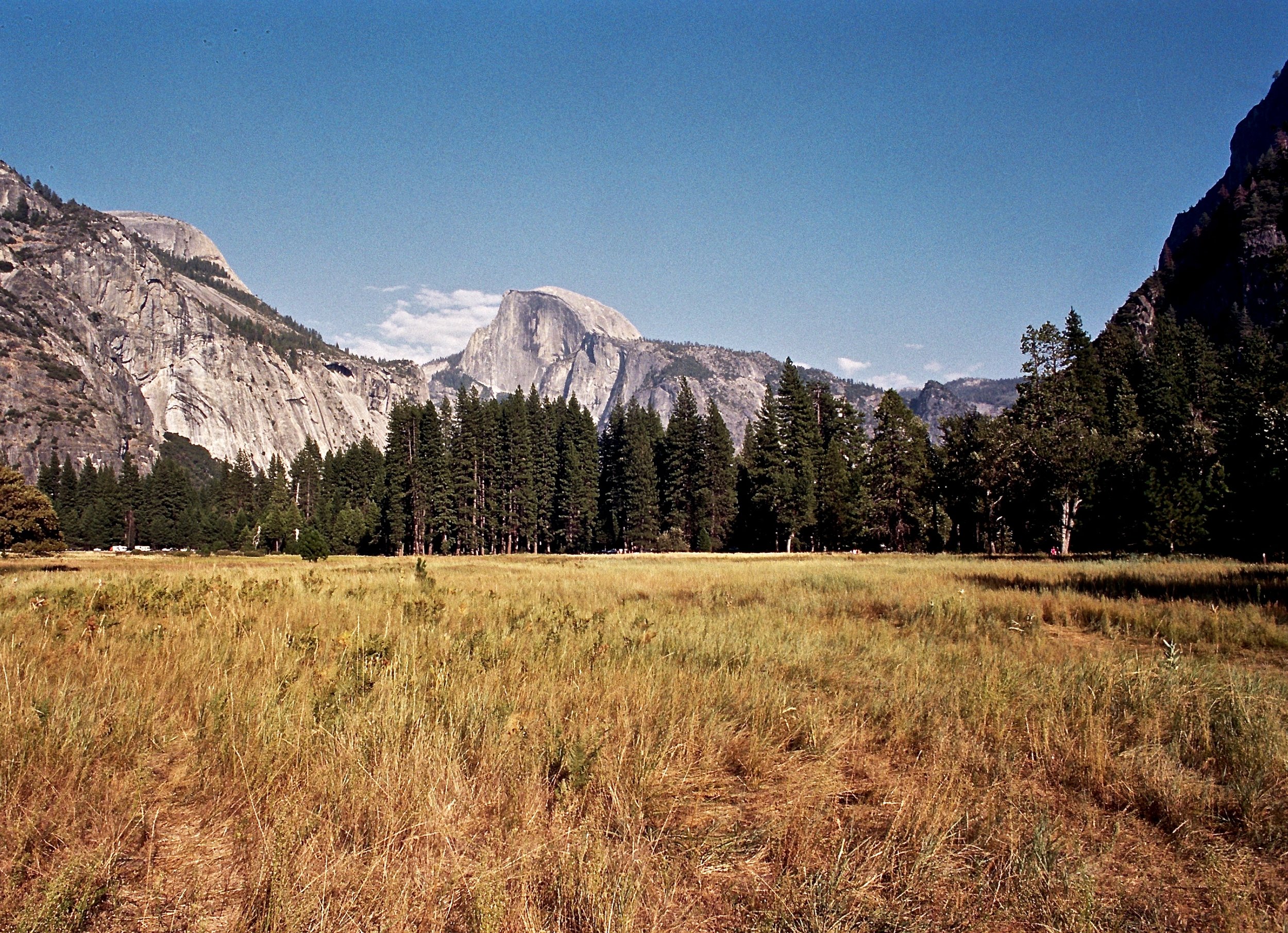Half Dome from Yosemite Valley, Olympus OM-2n