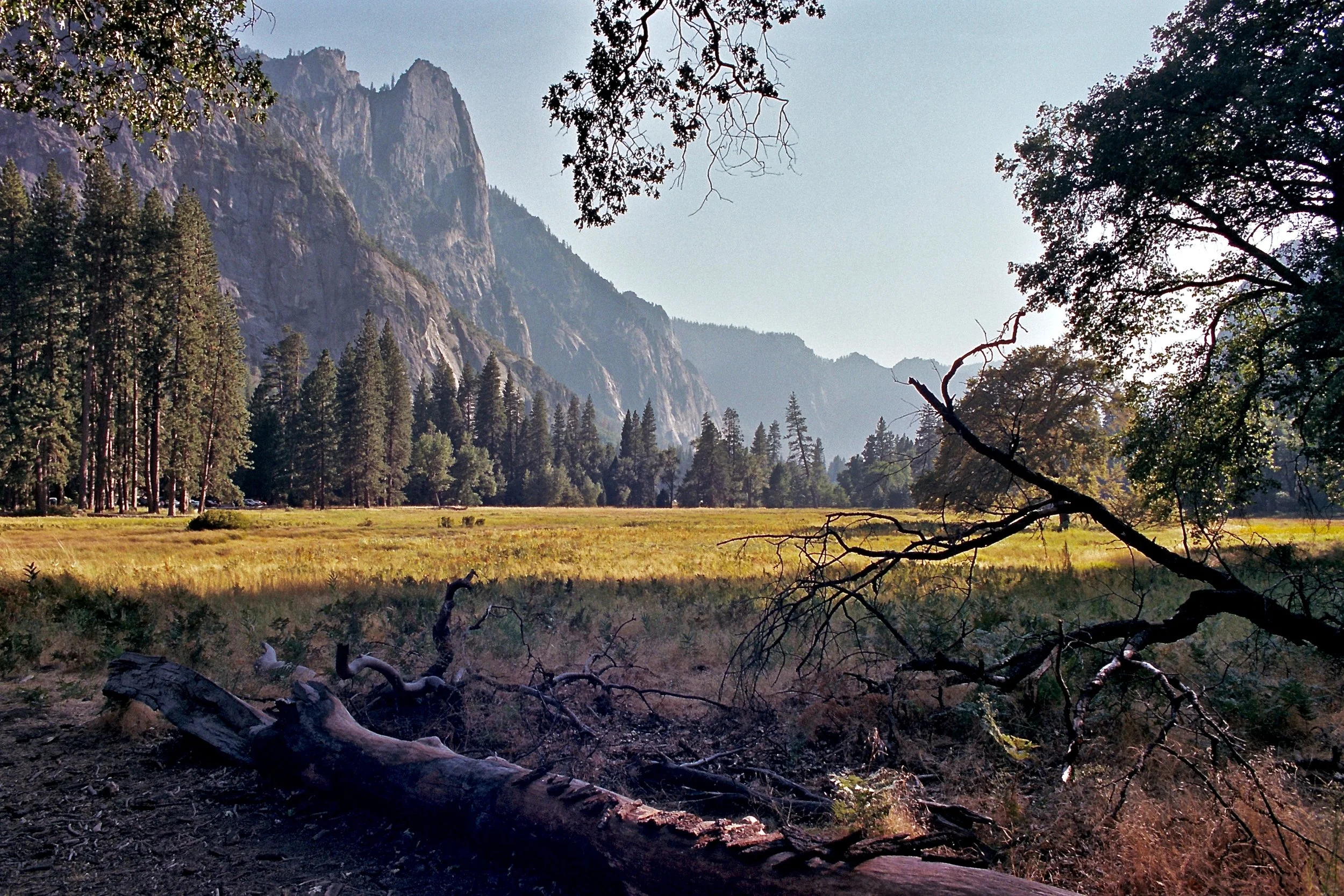 Yosemite Valley, Olympus OM-2n