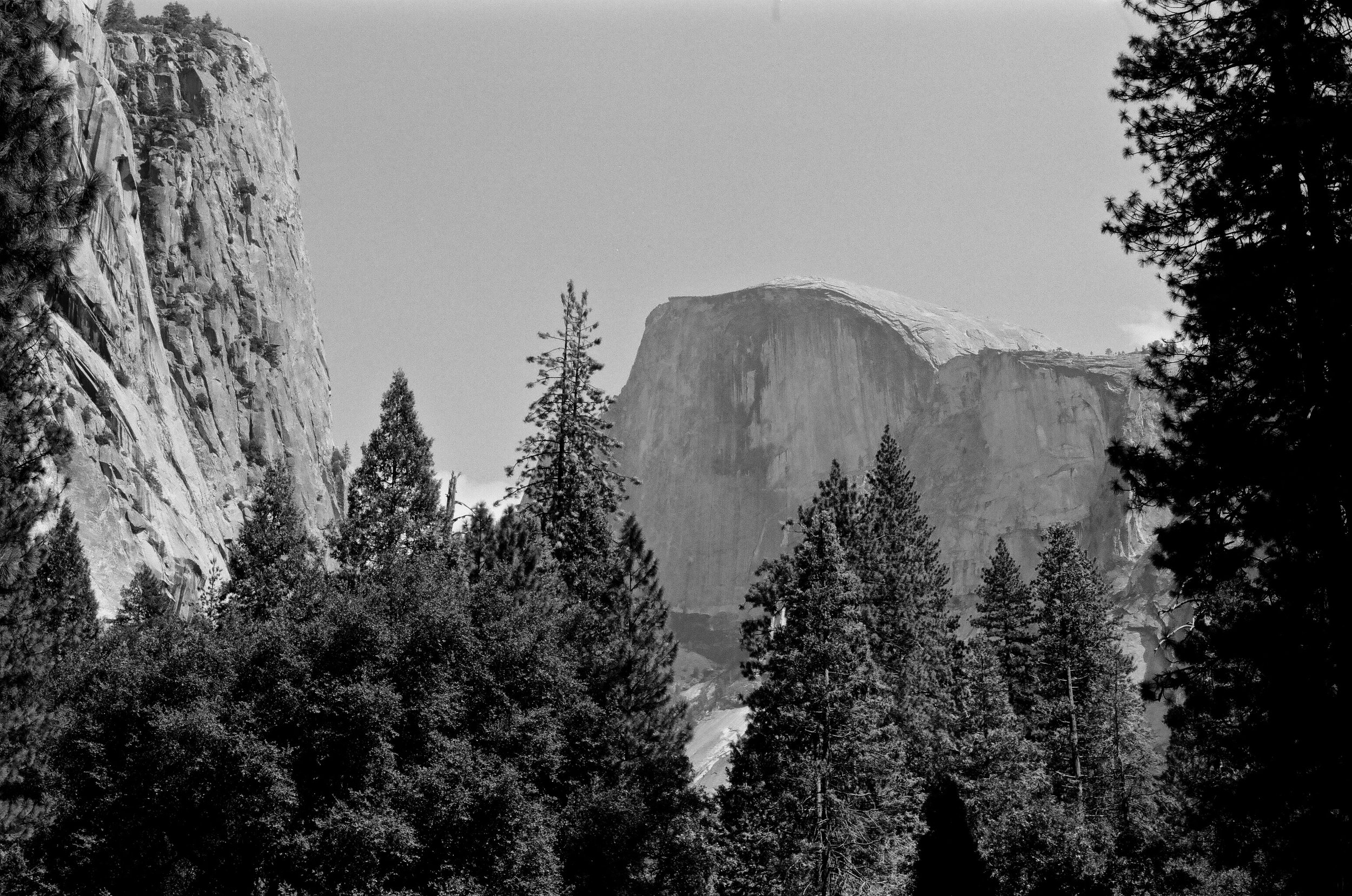 Half Dome from The Ahwahnee. Pentax Spotmatic with 50mm f/1.4 Super Tak